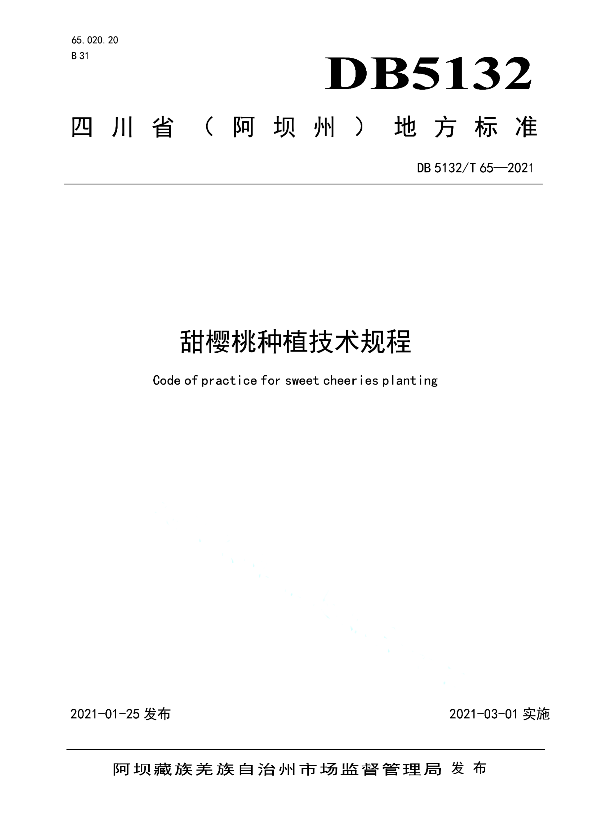 资源详情图